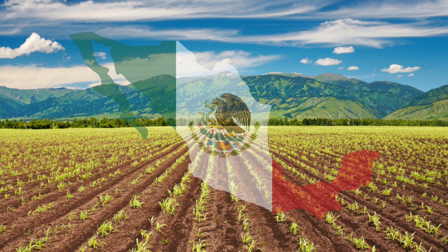 México en cifras: El impacto del sector agroalimentario en la economía ...