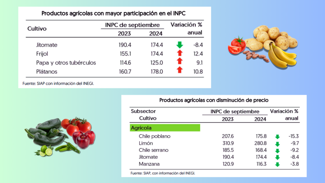 Inpc Septiembre 2024 Banxico Manda Rozanne